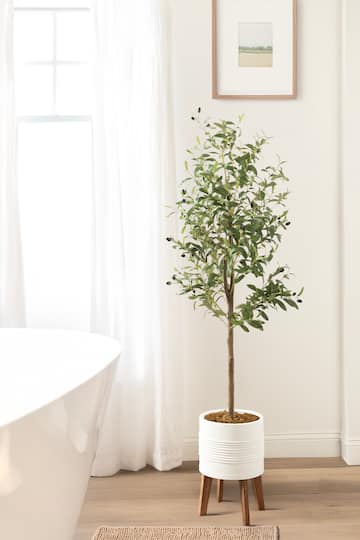 Kate and Laurel 5ft. Green Oliveira Faux Olive Tree in White Planter